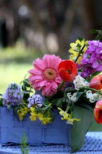 Preview wallpaper tulips, gerberas, lucius, basket, composition