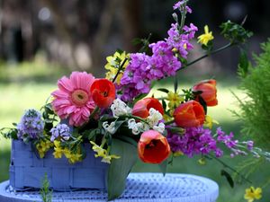 Preview wallpaper tulips, gerberas, lucius, basket, composition