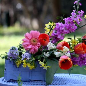 Preview wallpaper tulips, gerberas, lucius, basket, composition