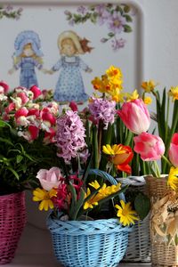 Preview wallpaper tulips, kalanchoe, daffodils, hyacinth, freesia, flowers, baskets, variety