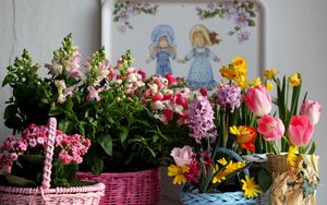 Preview wallpaper tulips, kalanchoe, daffodils, hyacinth, freesia, flowers, baskets, variety