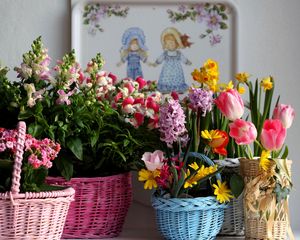 Preview wallpaper tulips, kalanchoe, daffodils, hyacinth, freesia, flowers, baskets, variety