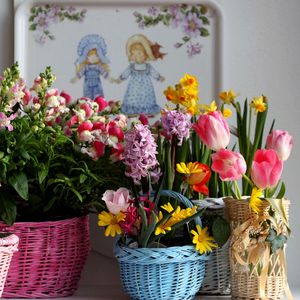 Preview wallpaper tulips, kalanchoe, daffodils, hyacinth, freesia, flowers, baskets, variety