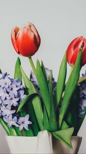 Preview wallpaper tulips, lilacs, bouquet, vase