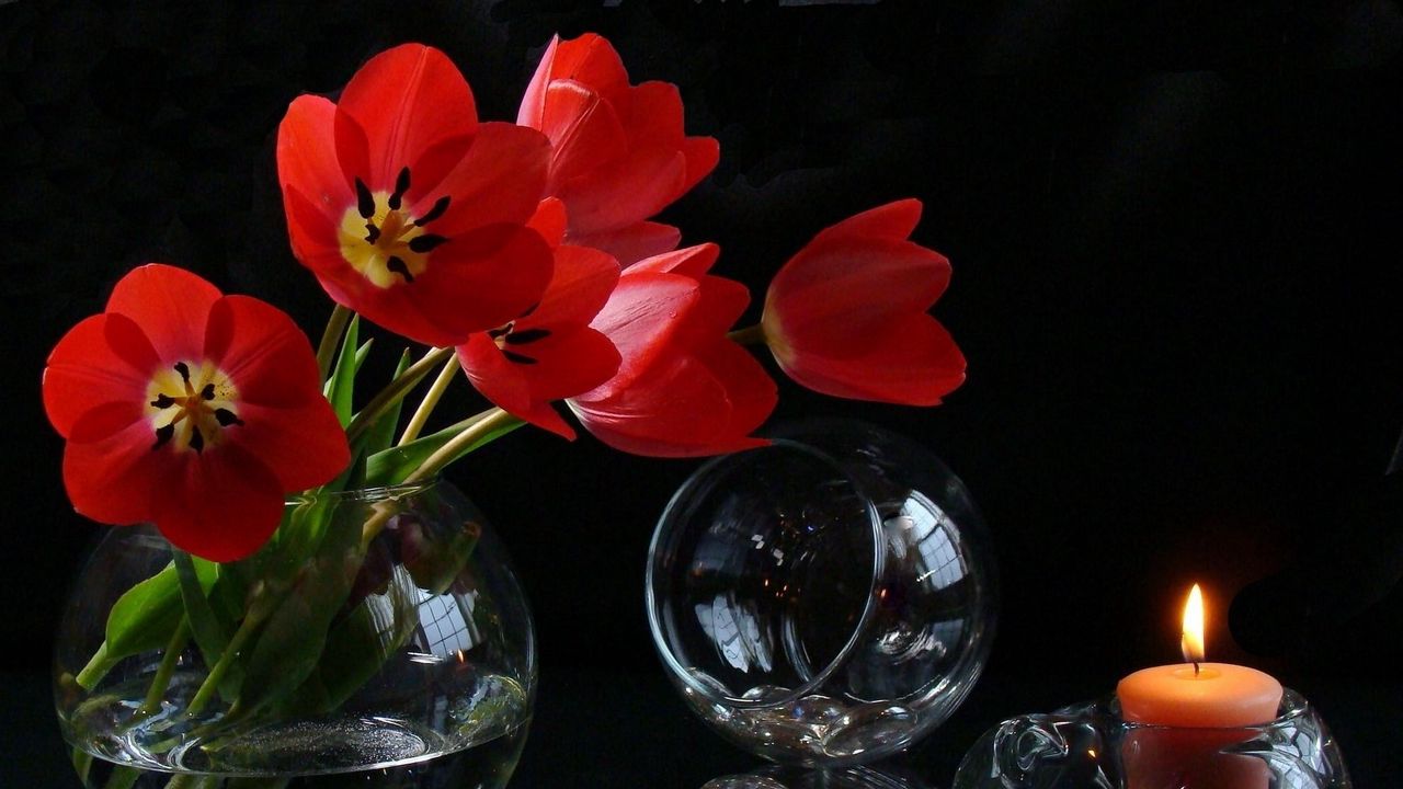 Wallpaper tulips, loose, flowers, vase, candle, fire