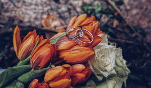 Preview wallpaper tulips, rings, flowers, romance, wedding