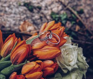Preview wallpaper tulips, rings, flowers, romance, wedding