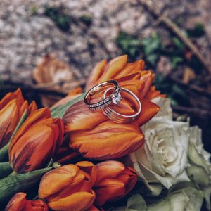 Preview wallpaper tulips, rings, flowers, romance, wedding
