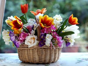 Preview wallpaper tulips, roses, freesia, color, composition, combination, basket