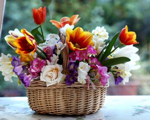 Preview wallpaper tulips, roses, freesia, color, composition, combination, basket