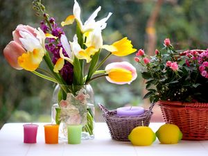 Preview wallpaper tulips, roses, irises, flowers, bouquets, vase, basket, candle