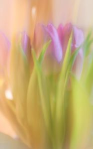 Preview wallpaper tulips, spring, flowers, blur