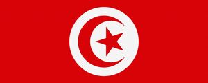 Preview wallpaper tunisia, flag, star, symbols