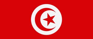 Preview wallpaper tunisia, flag, star, symbols