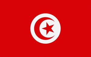 Preview wallpaper tunisia, flag, star, symbols