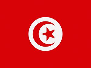 Preview wallpaper tunisia, flag, star, symbols