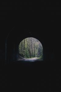 Preview wallpaper tunnel, arch, trees, alley, dark