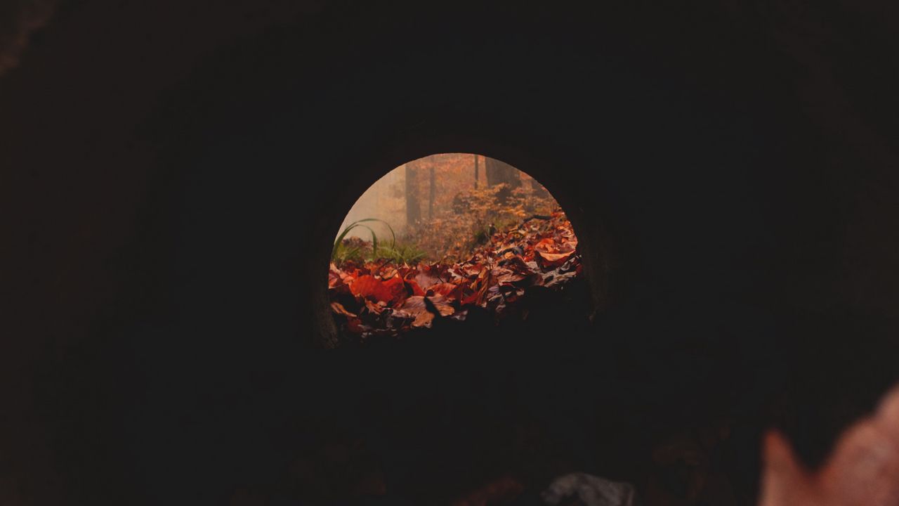 Wallpaper tunnel, pipe, dark, leaves, autumn