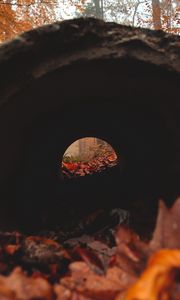 Preview wallpaper tunnel, pipe, dark, leaves, autumn