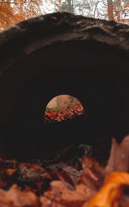 Preview wallpaper tunnel, pipe, dark, leaves, autumn