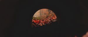 Preview wallpaper tunnel, pipe, dark, leaves, autumn