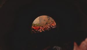 Preview wallpaper tunnel, pipe, dark, leaves, autumn