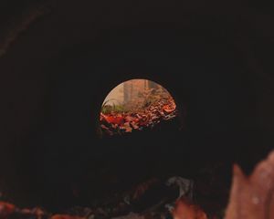 Preview wallpaper tunnel, pipe, dark, leaves, autumn