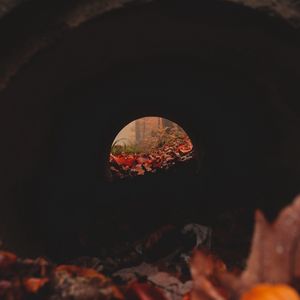 Preview wallpaper tunnel, pipe, dark, leaves, autumn