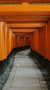 Preview wallpaper tunnel, road, perspective, winding