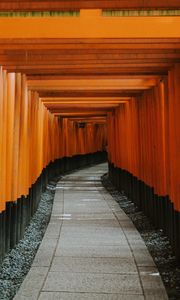 Preview wallpaper tunnel, road, perspective, winding