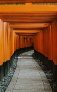 Preview wallpaper tunnel, road, perspective, winding