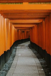 Preview wallpaper tunnel, road, perspective, winding