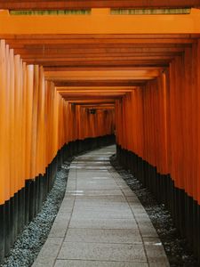 Preview wallpaper tunnel, road, perspective, winding