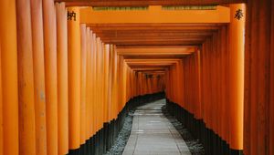 Preview wallpaper tunnel, road, perspective, winding