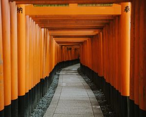 Preview wallpaper tunnel, road, perspective, winding