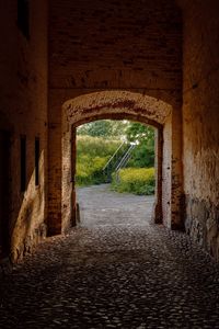 Preview wallpaper tunnel, stairs, trees, bricks