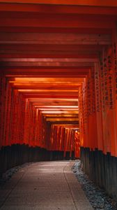 Preview wallpaper tunnel, torii gate, hieroglyphs, road