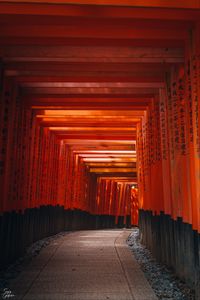 Preview wallpaper tunnel, torii gate, hieroglyphs, road