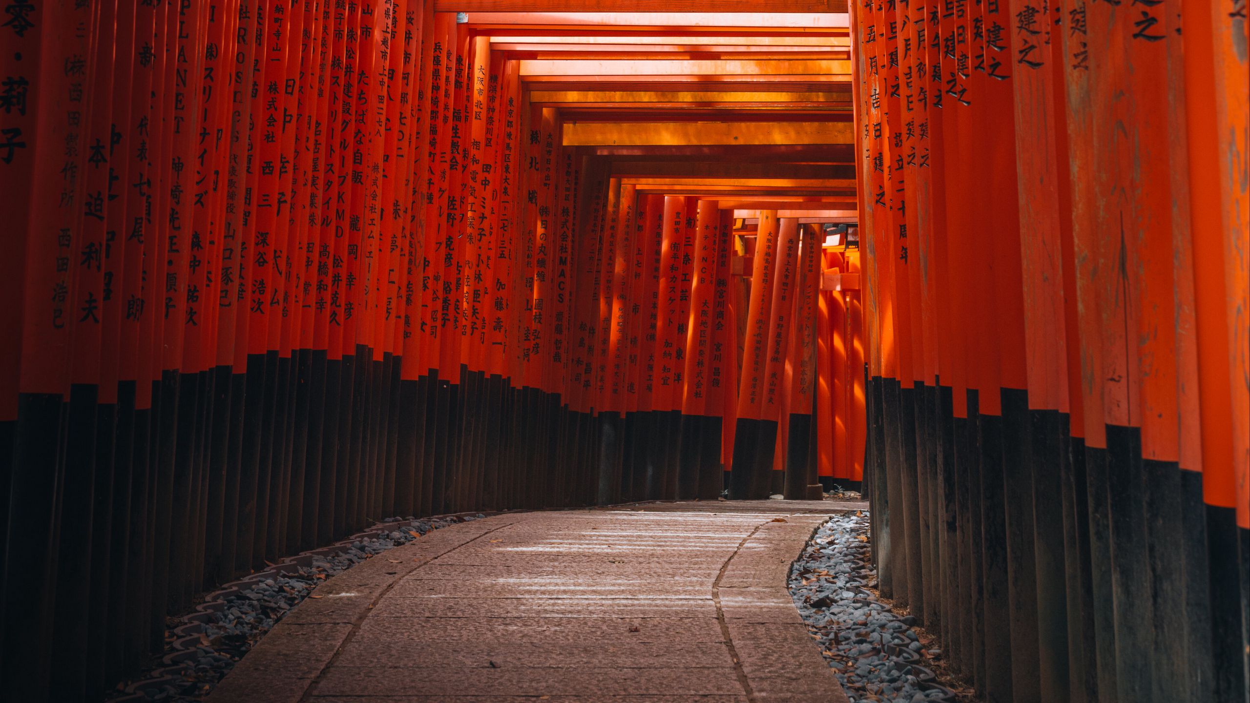 Download wallpaper 2560x1440 tunnel, torii gate, hieroglyphs, road