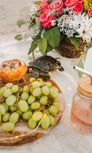 Preview wallpaper turtle, animal, grapes, fruits, flowers