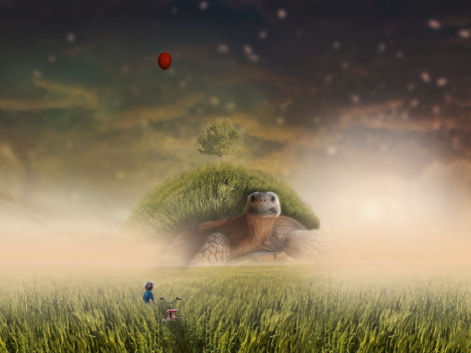 Download wallpaper 1600x1200 turtle, photoshop, child, bicycle, field,  grass standard 4:3 hd background