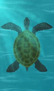 Preview wallpaper turtle, shell, water, glare