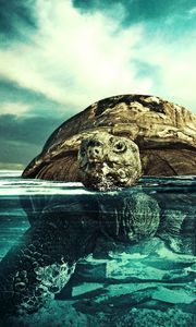 Preview wallpaper turtle, water, swim, underwater