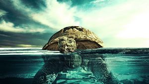 Preview wallpaper turtle, water, swim, underwater