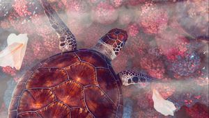 Preview wallpaper turtles, turtle, sea turtles, underwater world, wildlife