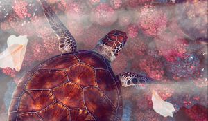 Preview wallpaper turtles, turtle, sea turtles, underwater world, wildlife