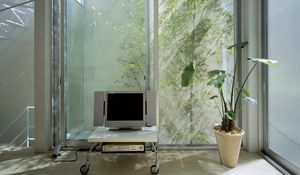 Preview wallpaper tv, apparatus, appliances, flower, windows