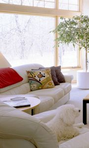 Preview wallpaper tv, sofa, pillows, furniture, comfort