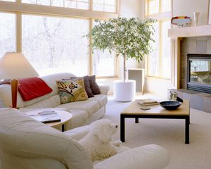 Preview wallpaper tv, sofa, pillows, furniture, comfort