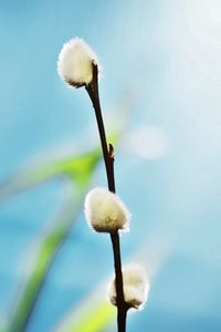 Preview wallpaper twigs, grass, background, blurred